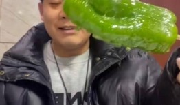 网红徒弟吃瓜视频大全下载,揭秘娱乐圈幕后故事