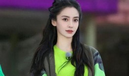 杨颖爆料最新,揭秘娱乐圈背后的真实故事